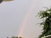 Regenbogen, Juni 2014