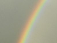 Regenbogen, Mai 2011