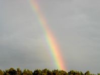 Regenbogen, Juni 2011