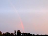 Regenbogen, August 2013