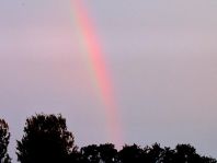 Regenbogen, August 2013