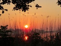 Sonnenaufgang, Juni 2016