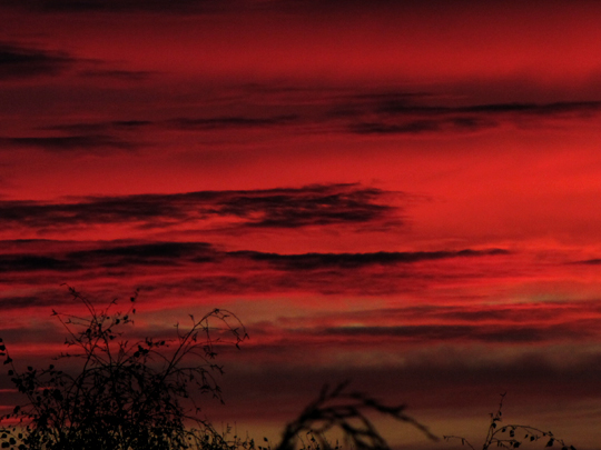 Sonnenaufgang, November 2012