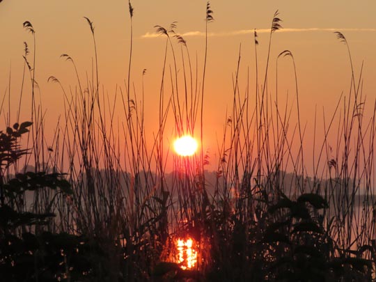 Sonnenaufgang, Juni 2016
