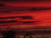 Sonnenaufgang, November 2012