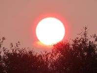 Sonnenuntergang, September 2015