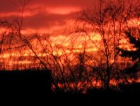 Sonnenuntergang, Dezember 2012