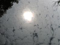 Wolken