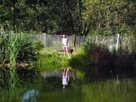 Am Forellenteich in F&uuml;nfeichen