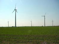 Windr&auml;der wie Wasser in der Oder